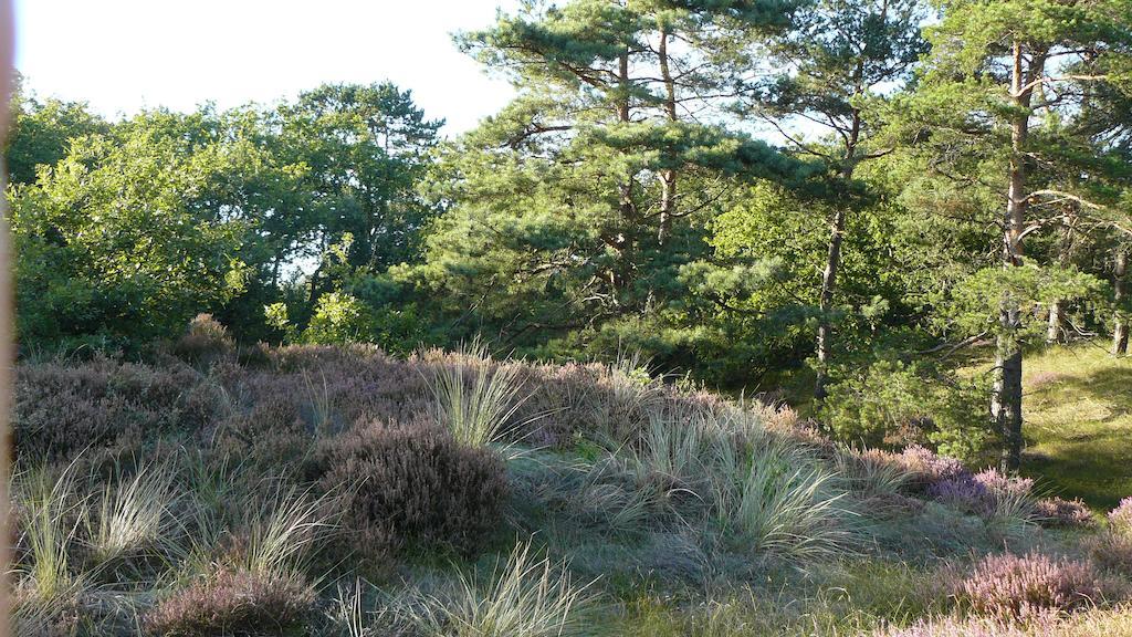 'T Kasteeltje Villa Bergen Eksteriør bilde